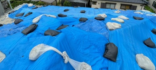 瓦屋根　ブルーシート養生　応急処置